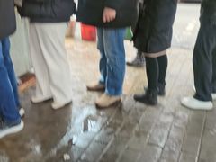 -汪记鲜鱼糊汤粉(沈阳路总店)