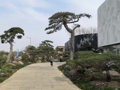 -罗红摄影艺术馆