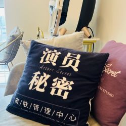 点击看大图 -演员的秘密·皮肤管理