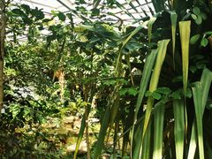 -昆明植物园