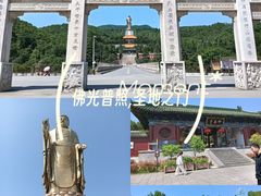 -中原大佛景区