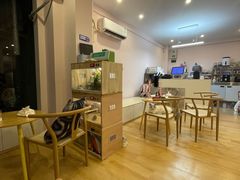 -猫咪派对(江南西店)