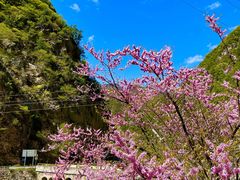 -黑河国家森林公园