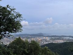 -惠山国家森林公园