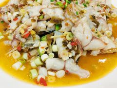 -飞虹鱼馆(春华路店)