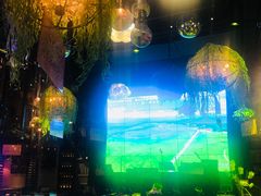 -香榭里音乐酒吧(丰美店)