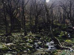 -少华山国家森林公园