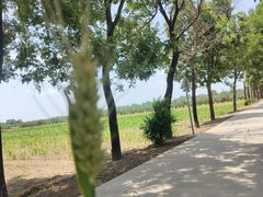 -中华郡文化旅游景区