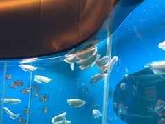-碧涛阁水世界酒店(万家丽路店)