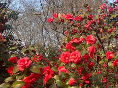 -玄武湖景区-情侣园游乐场