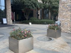 -桐庐海博大酒店中餐厅