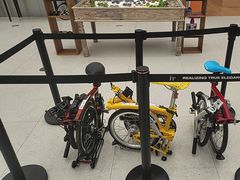 -大视光学•LINDBERG林德伯格•全球手工眼镜集合店(王府井店)