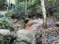 -火炉山森林公园