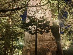 -江心屿景区