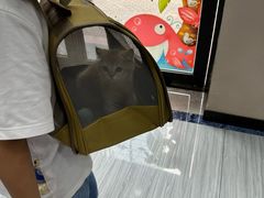 -瑞派名望24h动物医院异宠专科·猫专科·骨科·重症监护分院