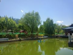 -雁滩公园