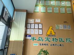 -半岛宠物医院24小时·内窥镜·牙科·碎石中心(府城大道店)
