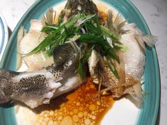 -大榕树下顺德菜(融创茂店)