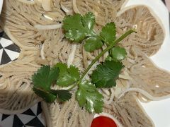 -蜀九香火锅(九眼桥店)
