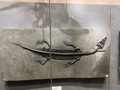 -贵州省地质博物馆