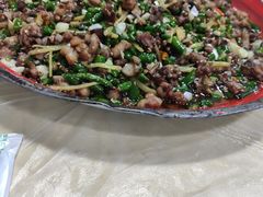 -东吴霸王兔(松青路店)
