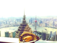 -上海柏悦酒店·世纪100牛排馆