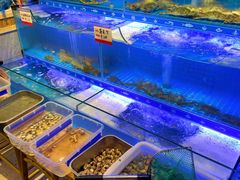 水产区-阿毛饭店(和义路店)