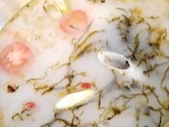 -土著渔匠·养生蝴蝶鱼(香樟路店)