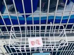 -莘程宠物医院(金山店)