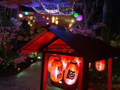 -海口观澜湖火山温泉谷