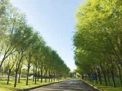 -亿利库布其七星湖沙漠生态旅游区