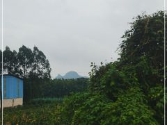 -南宁花花大世界景区