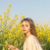 油菜花还行