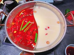 -捞王猪肚鸡火锅(金华义乌之心店)