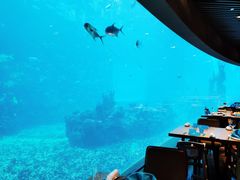 -海棠湾洲际-涛·海底餐厅·美人鱼·自助餐·海底隧道