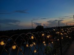 -桃园农庄·桃源宴