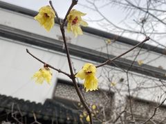 -江宁织造博物馆