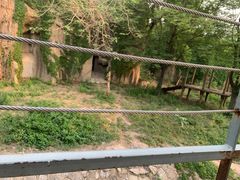 -北京动物园