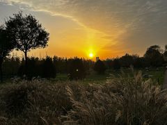 -汉长安城未央宫国家考古遗址公园