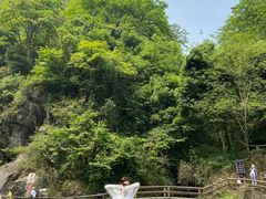 -华蓥山天意谷景区