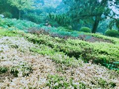 -天津盘山风景名胜区