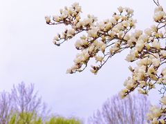 -睦南公园
