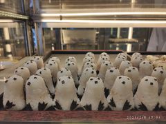 -帝企鹅自助餐厅•儿童岛•真企鹅(长隆企鹅酒店)