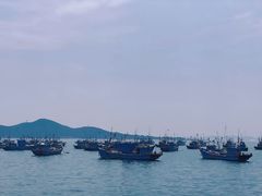 -海源公园