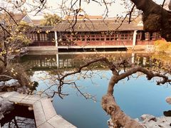 -艺圃