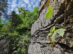 -梭布垭石林景区