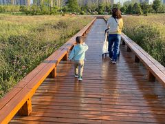 -汉长安城未央宫国家考古遗址公园