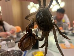 -藜爱·山海情海鲜自助(万达广场店)
