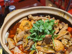 -沙胆彪炭炉牛杂煲(成都玉林店)