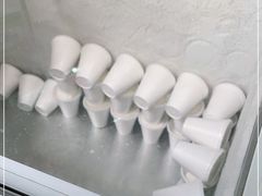 -洪馨椰子